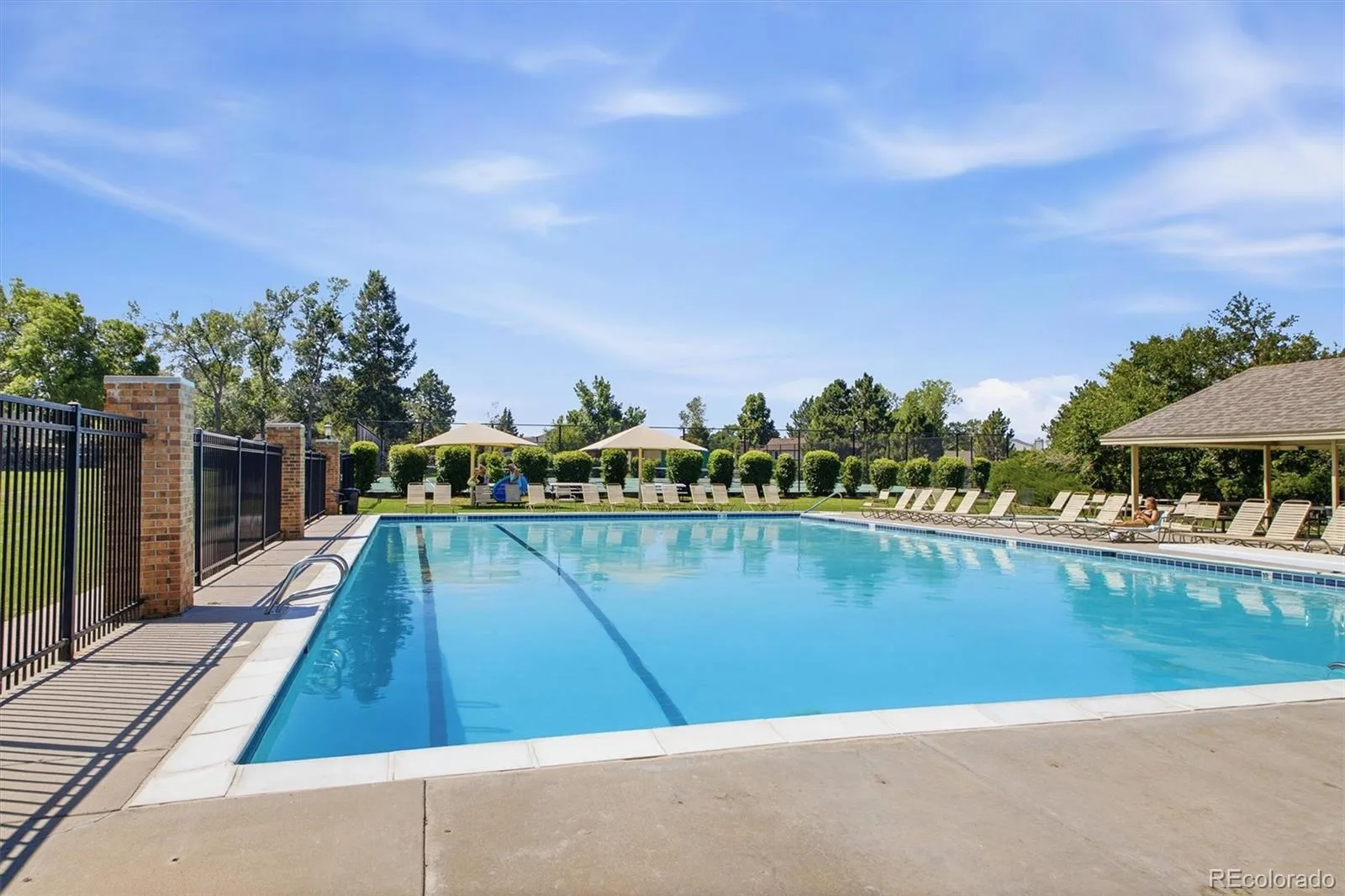 10226 Newton Court Westminster CO 80031 | MLS #REC9263306 07162026182329 1600 45
