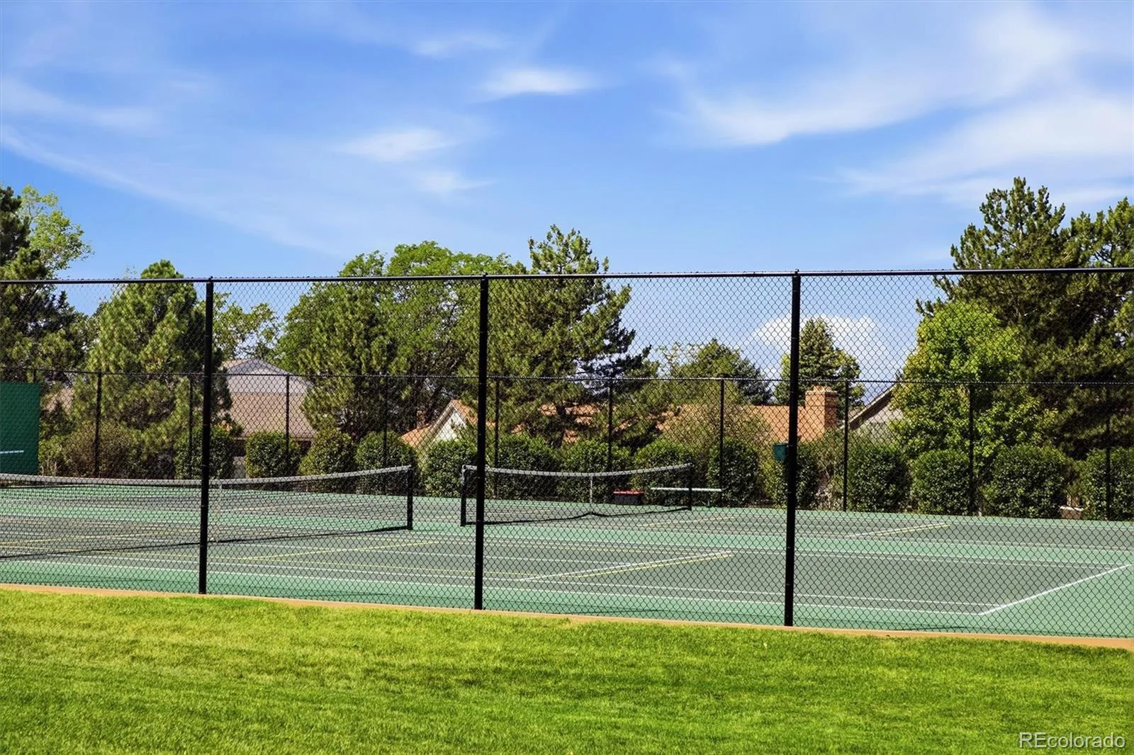 10226 Newton Court Westminster CO 80031 | MLS #REC9263306 07162026182329 1600 48