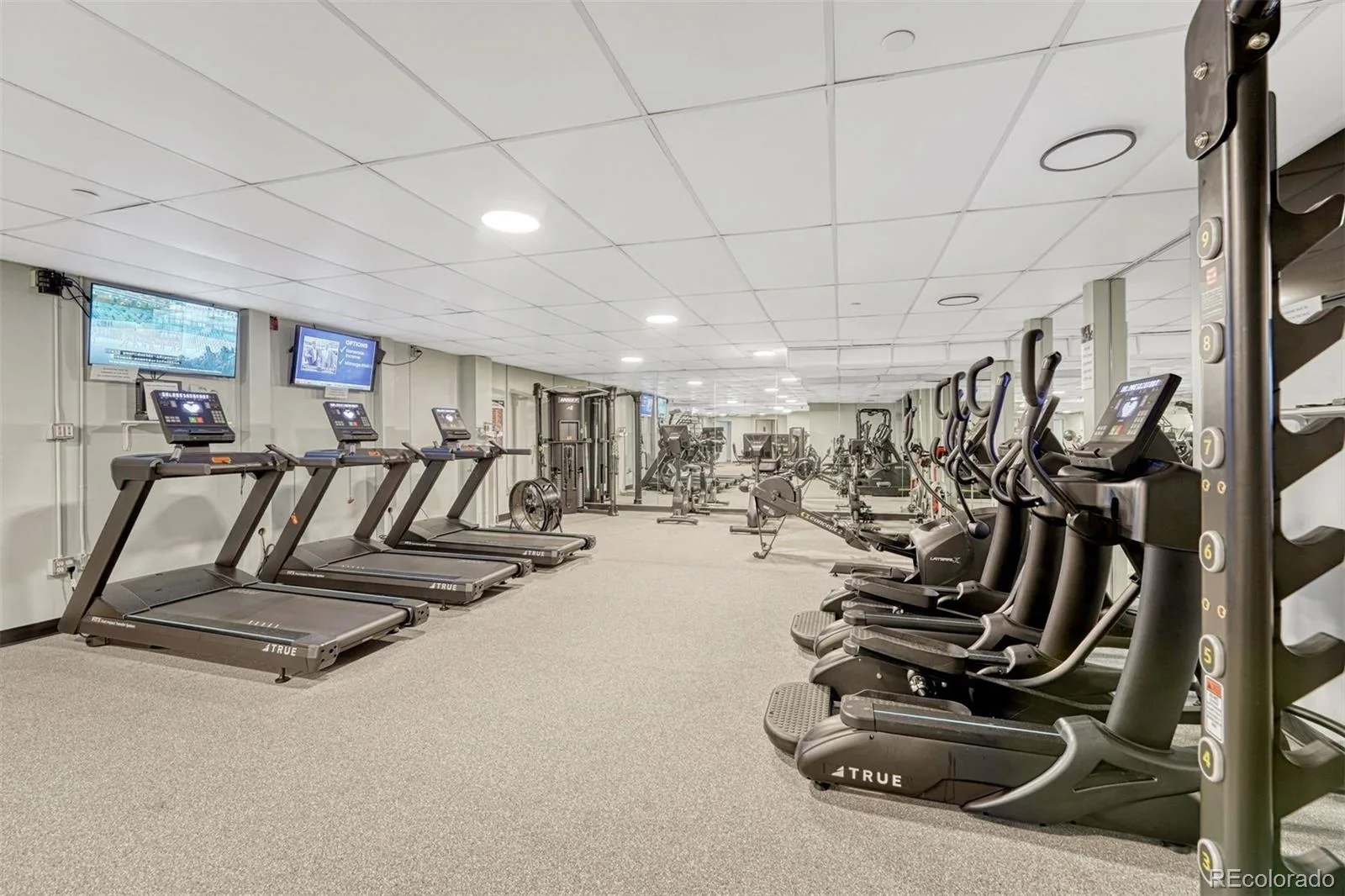480 S Marion Parkway #305 Denver CO 80209 MLS #REC9270001 06032026184628 1600 35
