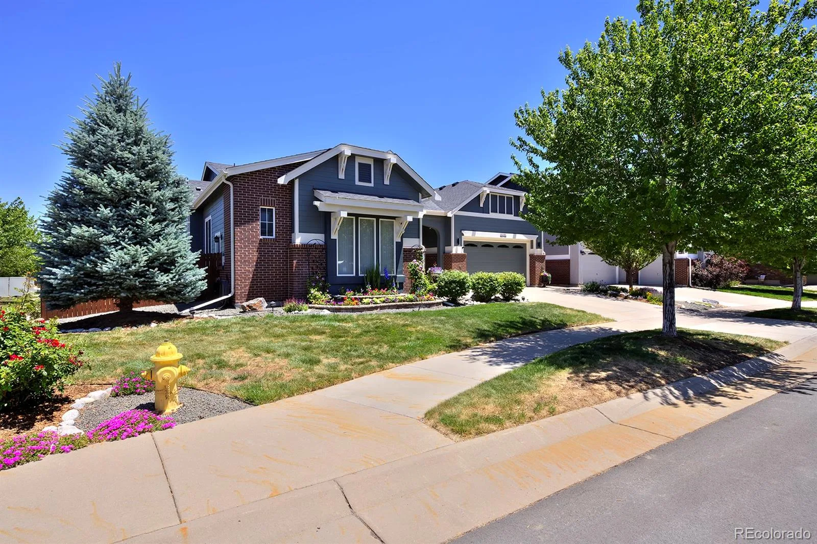 25526 E Arbor Drive Aurora CO 80016 MLS #REC9275257 06182026190914 1600 1