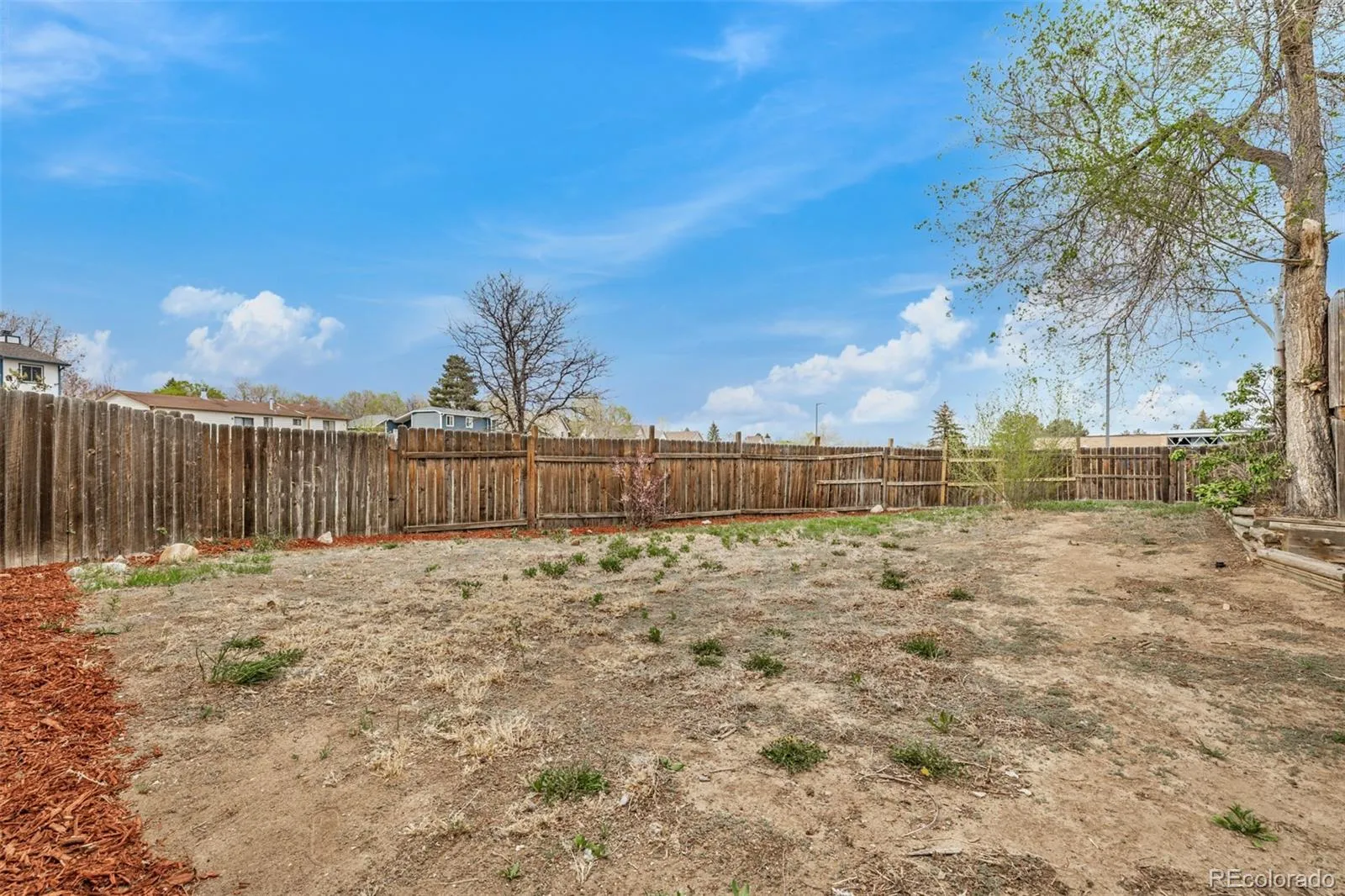 17721 E Grand Avenue Aurora CO 80015 MLS #REC9275802 05222026024948 1600 30