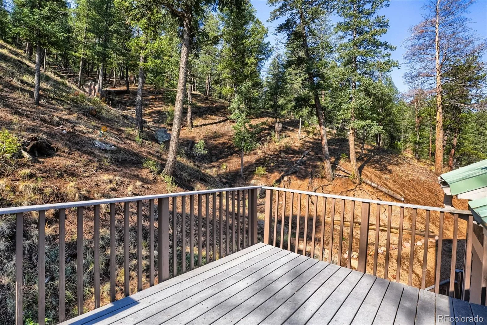 9899 Overlook Road Sedalia CO 80135 | MLS #REC9284059 08232026135100 1600 15