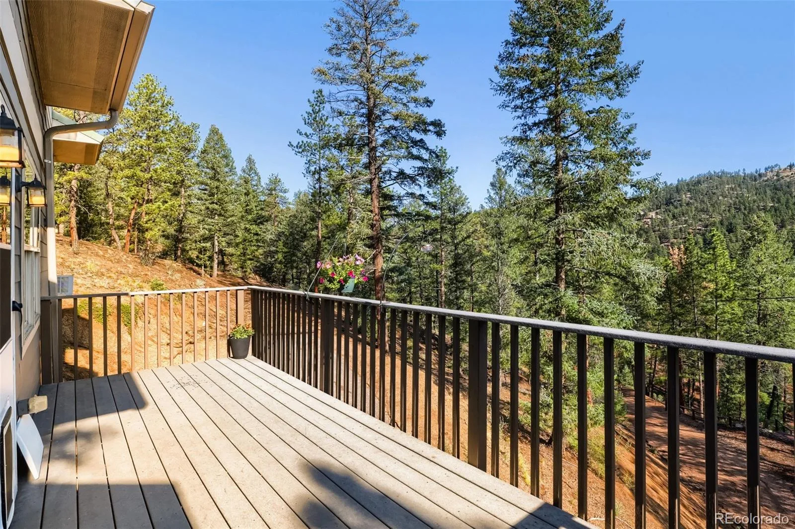 9899 Overlook Road Sedalia CO 80135 | MLS #REC9284059 08232026135100 1600 6