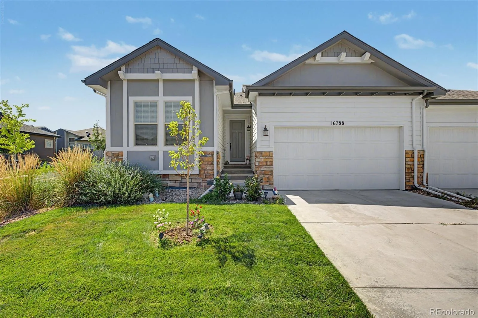 6788 Zebra Grass Lane Parker CO 80138 | MLS #REC9286233 07302026215011 1600 1