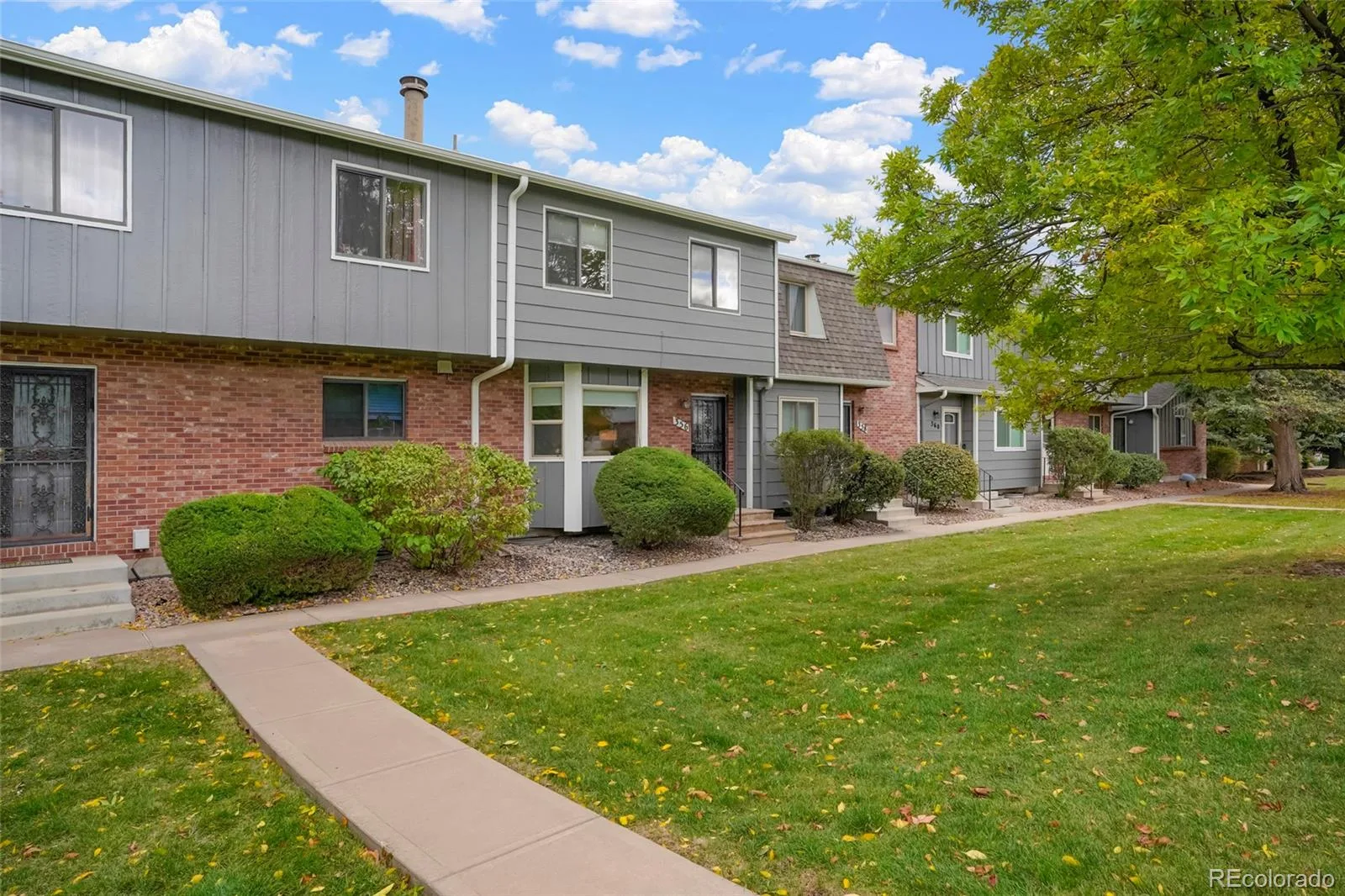 356 S Balsam Street Lakewood CO 80226 | MLS #REC9286940 10162026224516 1600 2