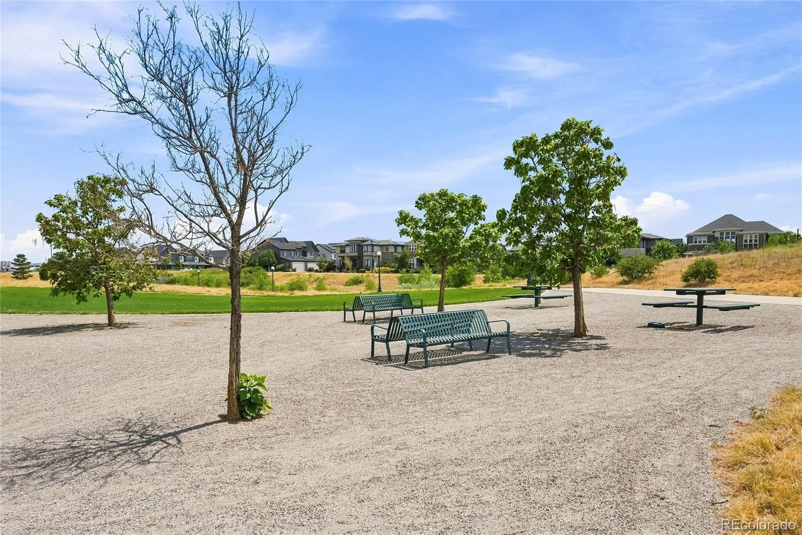 8790 E 54th Place Denver CO 80238 | MLS #REC9289430 08132026175457 1600 28