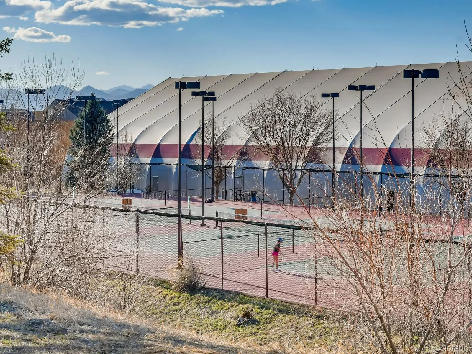 3818 Mallard Drive Highlands Ranch CO 80126 MLS #REC9290966 05182026184026 1600 37