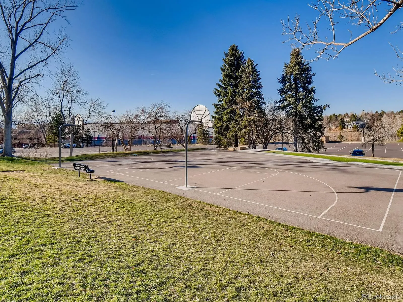 3818 Mallard Drive Highlands Ranch CO 80126 MLS #REC9290966 05182026184026 1600 38
