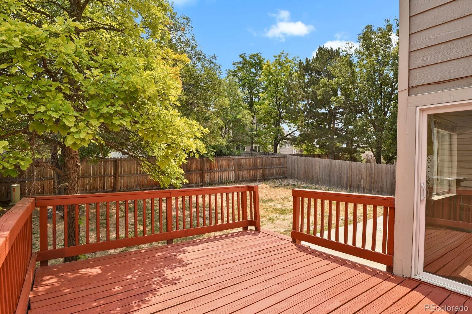 12026 Elm Way Thornton CO 80241 | MLS #REC9299520 08192026181623 1600 24