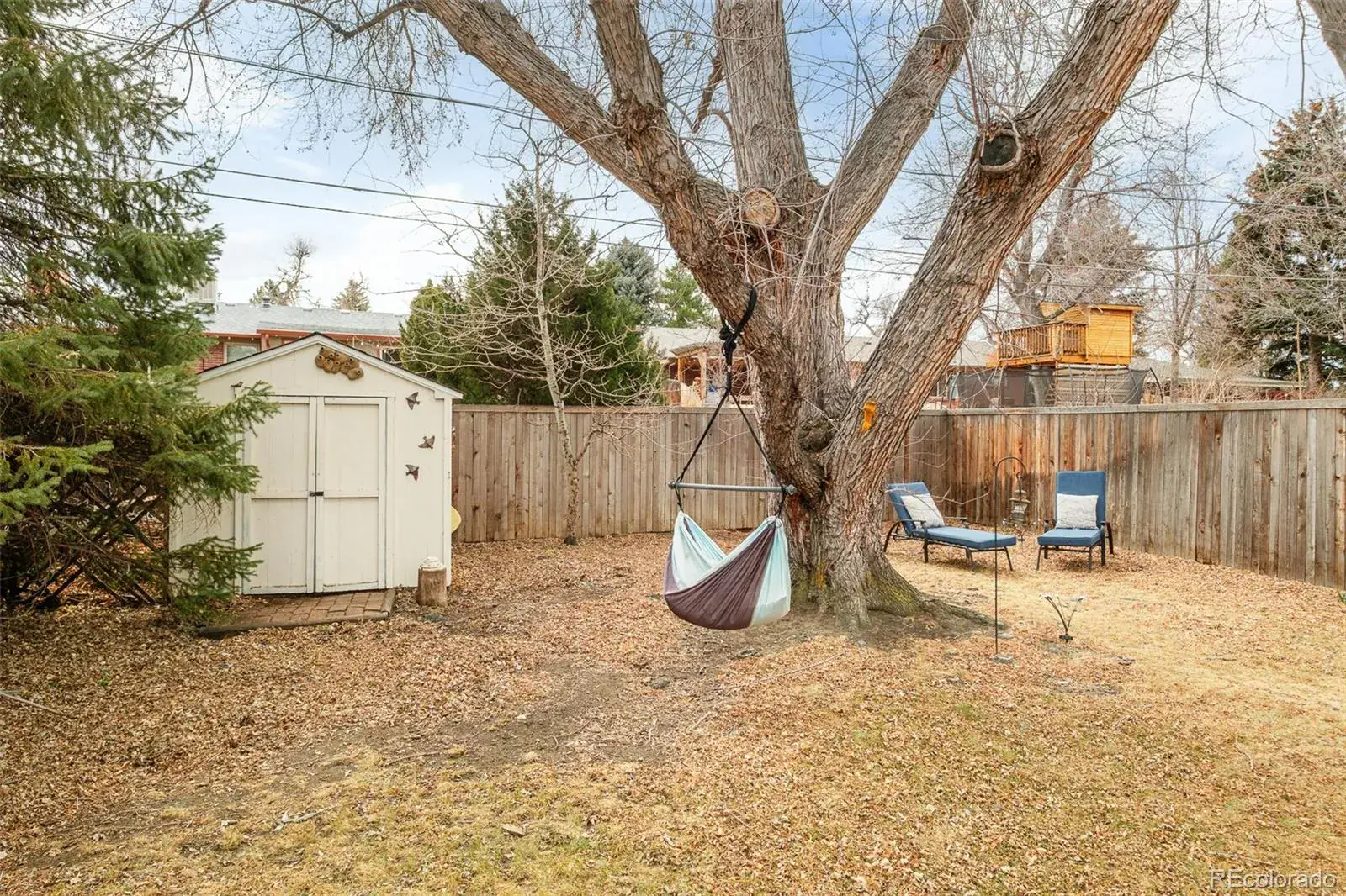 02262026002924 1600 34