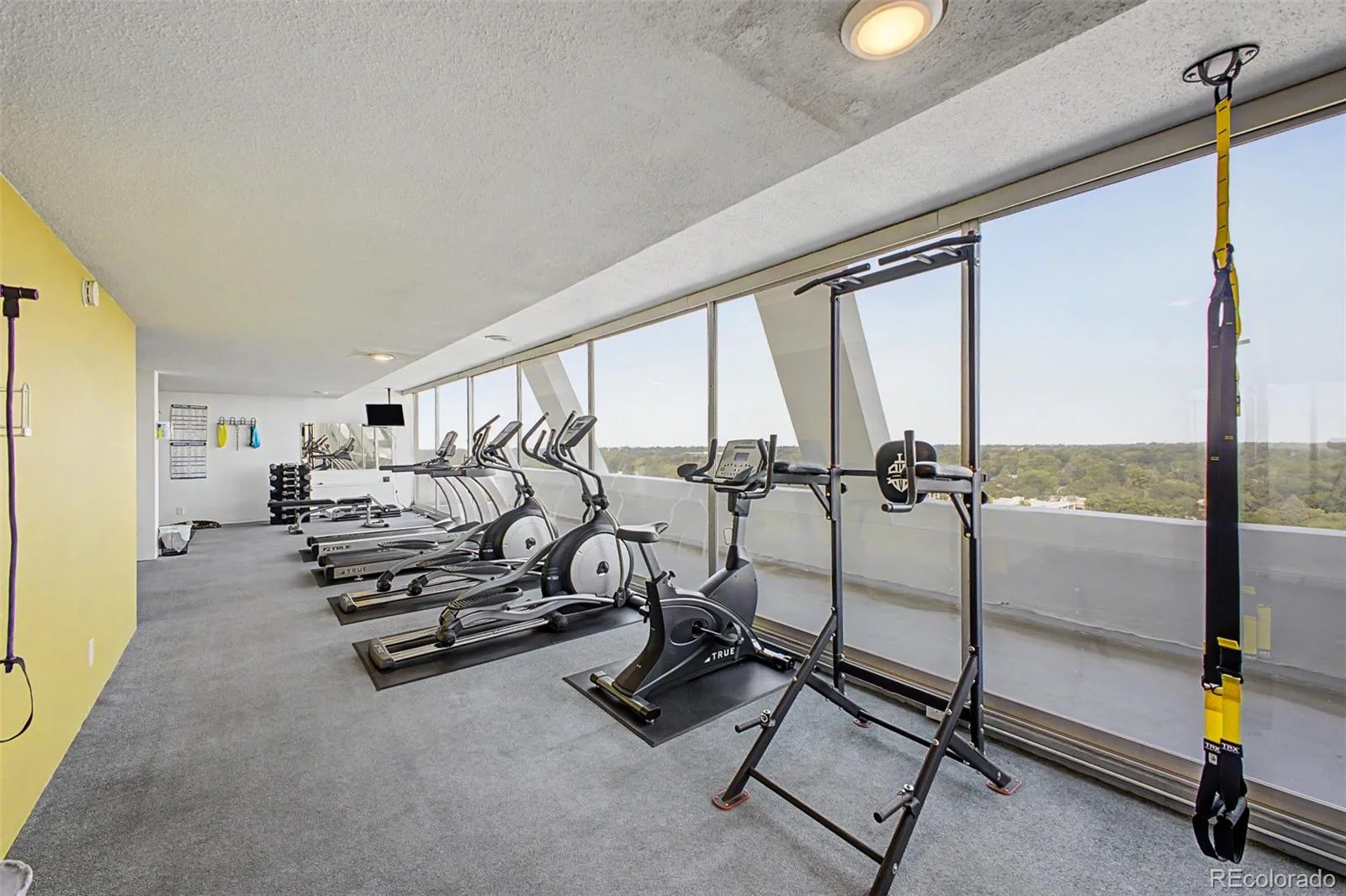 1155 N Ash Street #202 Denver CO 80220 | MLS #REC9302877 08062026185956 1600 23