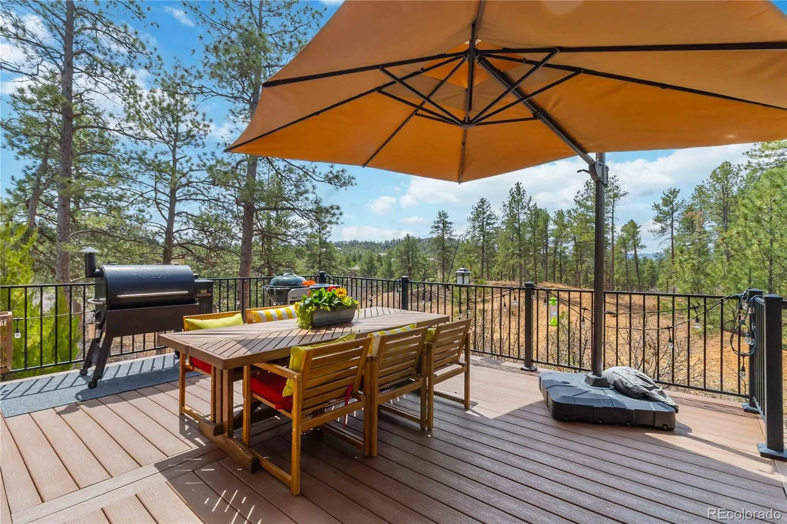 1600 Knotty Pine Way Castle Rock CO 80108 MLS #REC9303583 07202026175047 1600 37