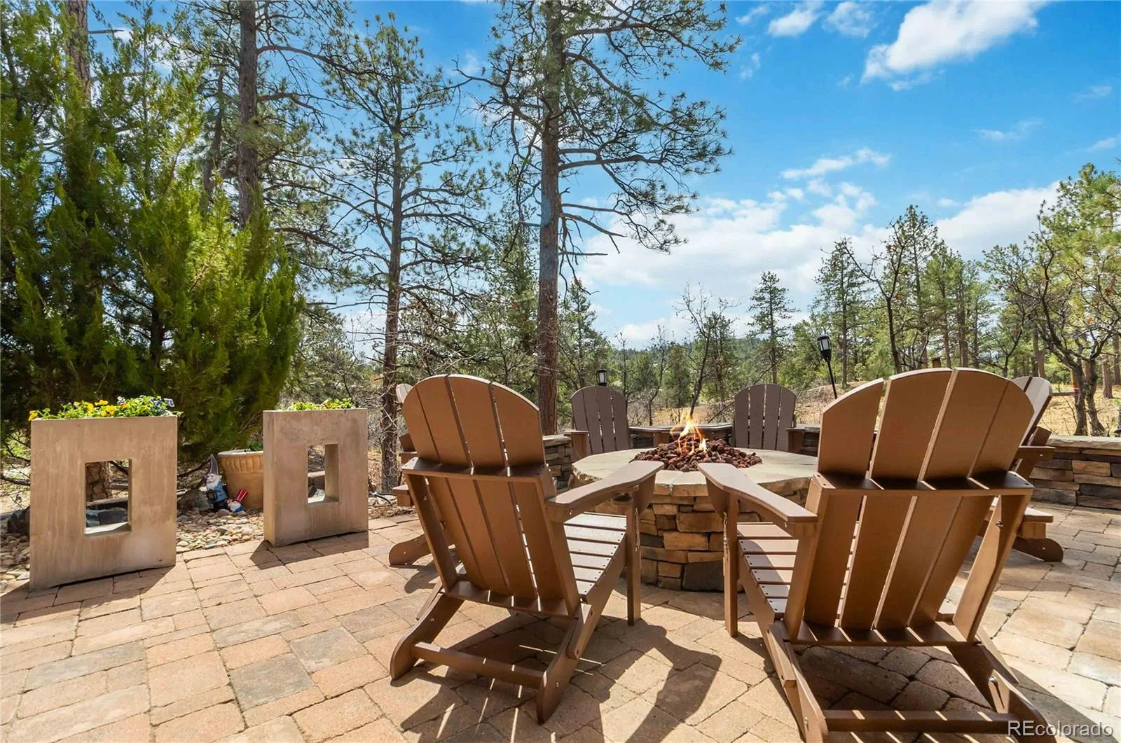 1600 Knotty Pine Way Castle Rock CO 80108 MLS #REC9303583 07202026175047 1600 39