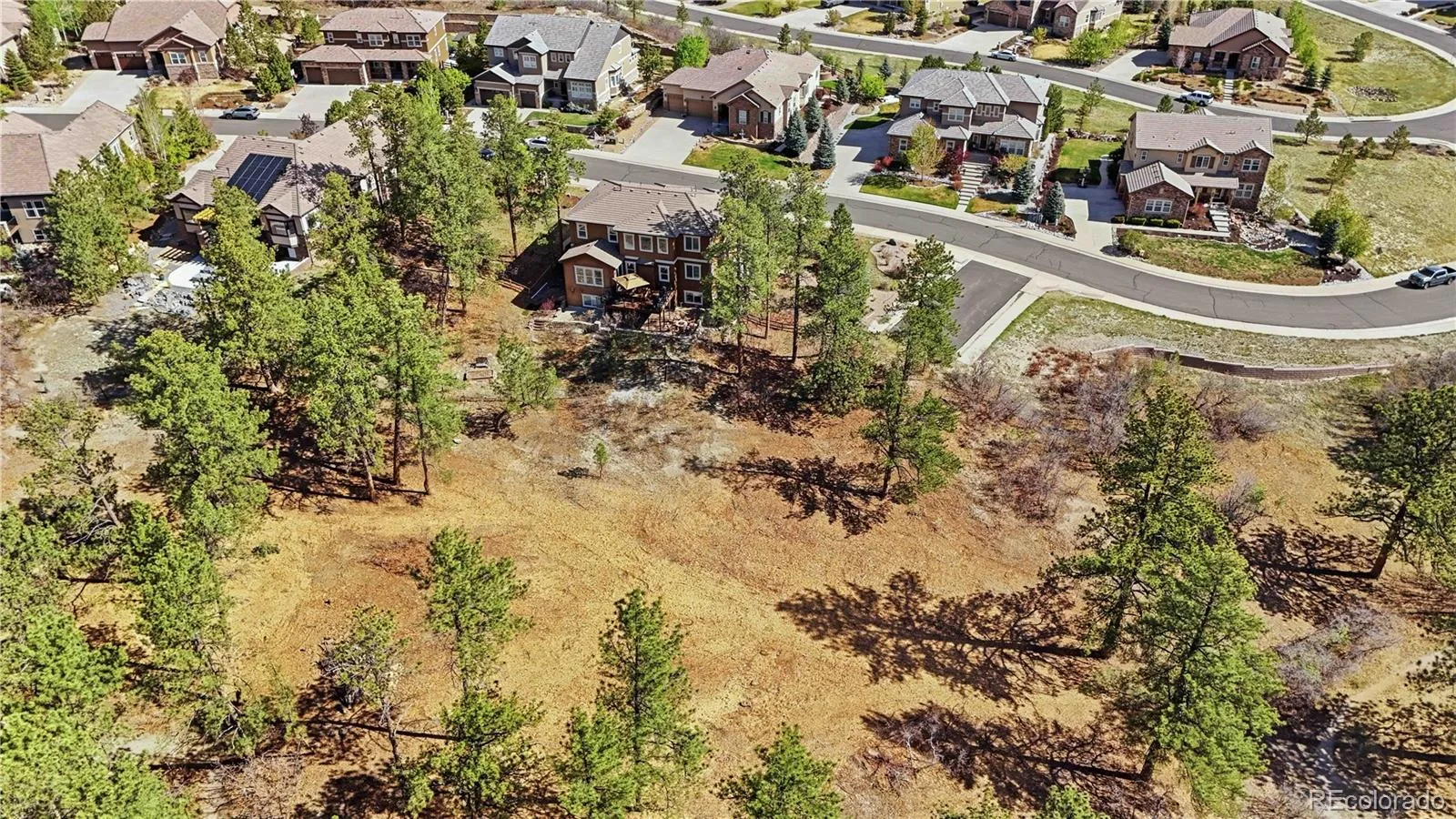 1600 Knotty Pine Way Castle Rock CO 80108 MLS #REC9303583 07202026175047 1600 47