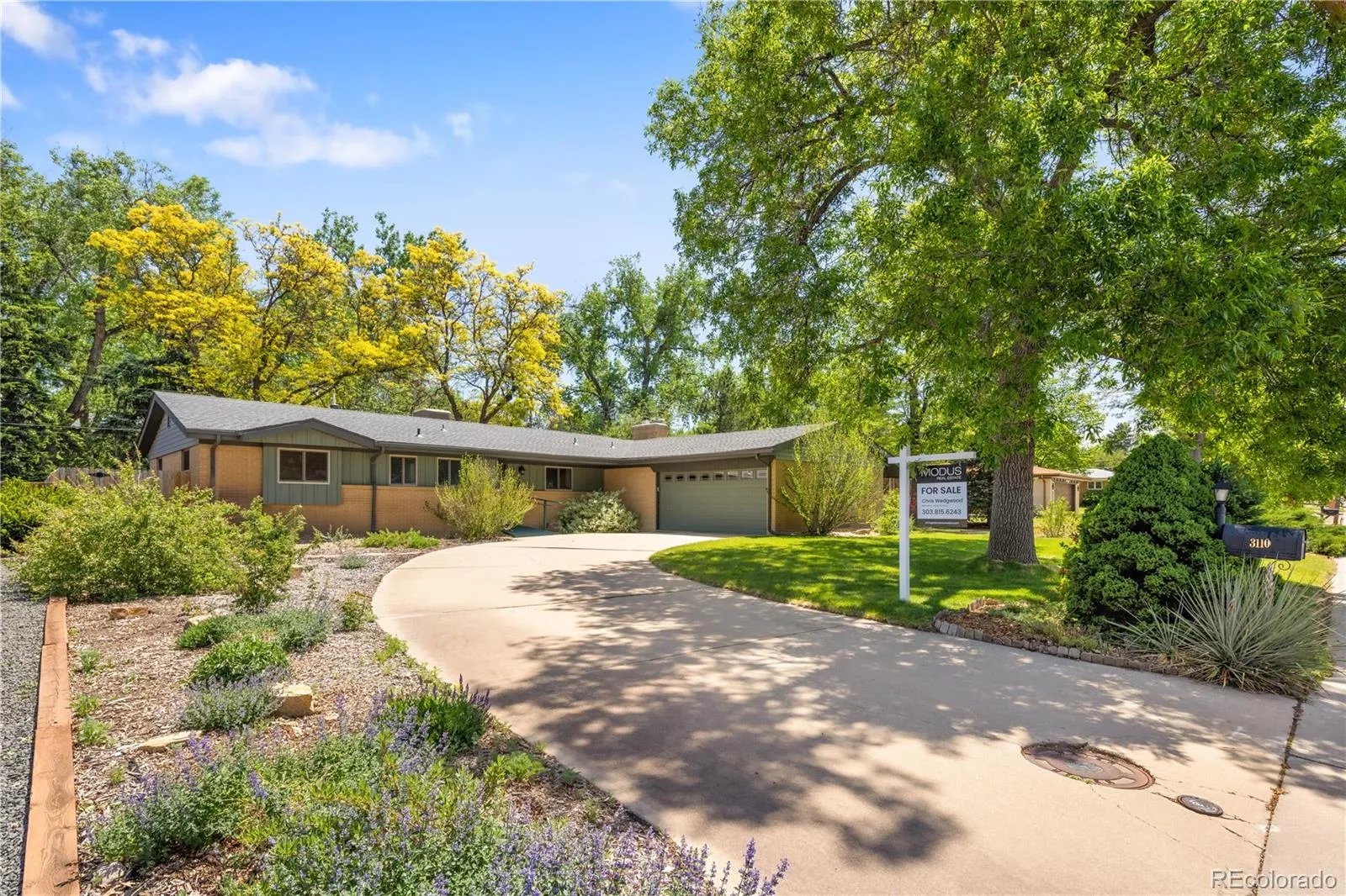 3110 Ward Court Wheat Ridge CO 80215 MLS #REC9314581 05142026142124 1600 1