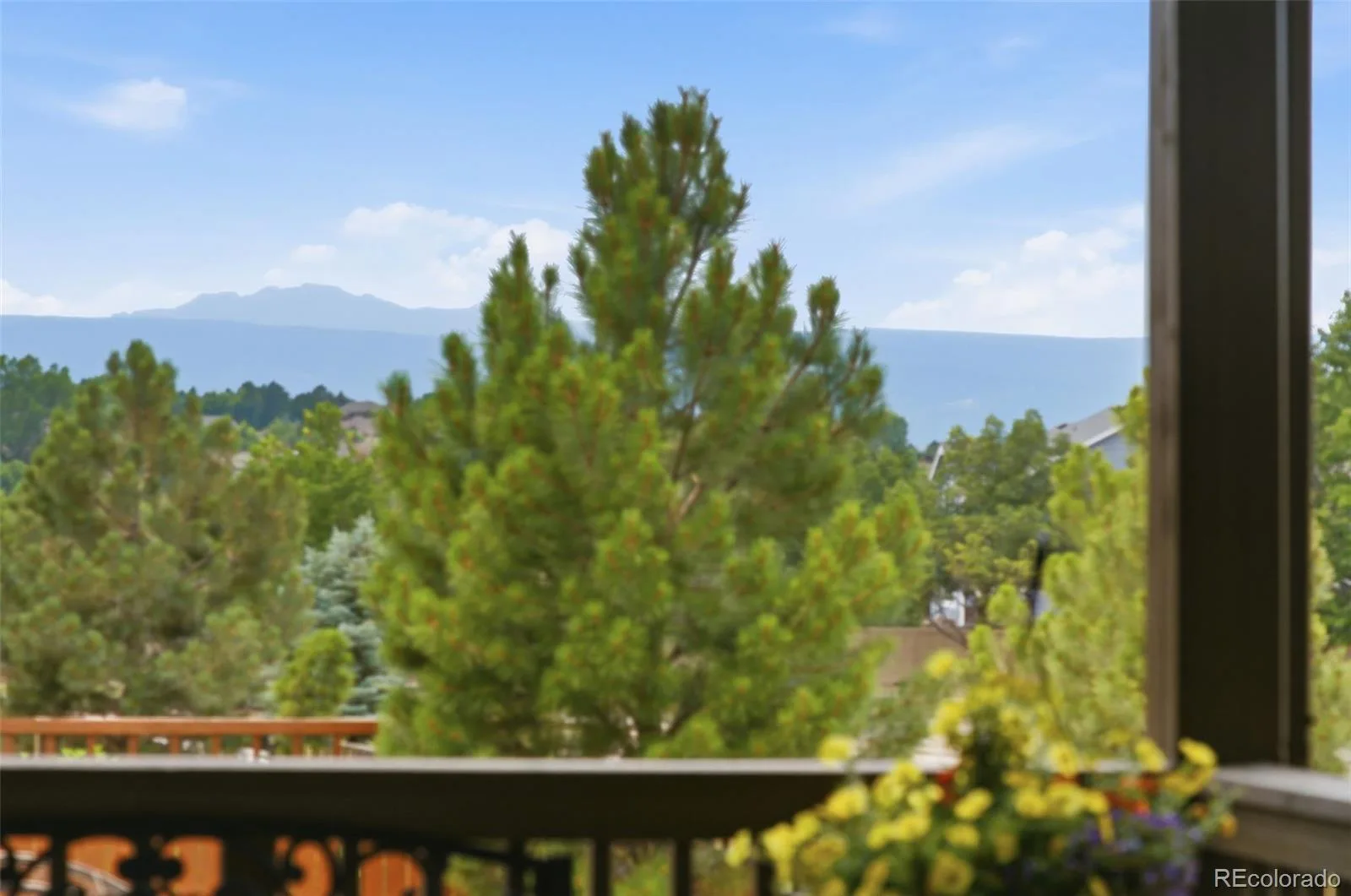 4312 Broken Hill Drive Castle Rock CO 80109 | MLS #REC9315422 07262026131939 1600 48