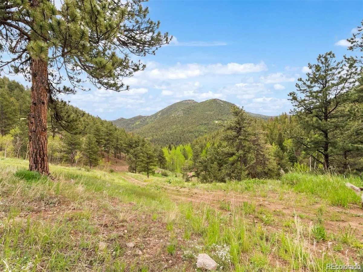 000 Spirit Horse Trail Golden CO 80403 | MLS #REC9319349 07222026172311 1200 1