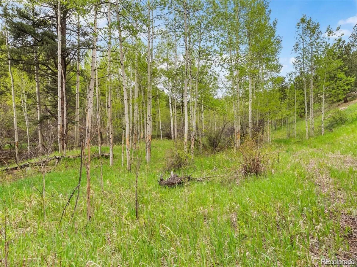 000 Spirit Horse Trail Golden CO 80403 | MLS #REC9319349 07222026172311 1200 3