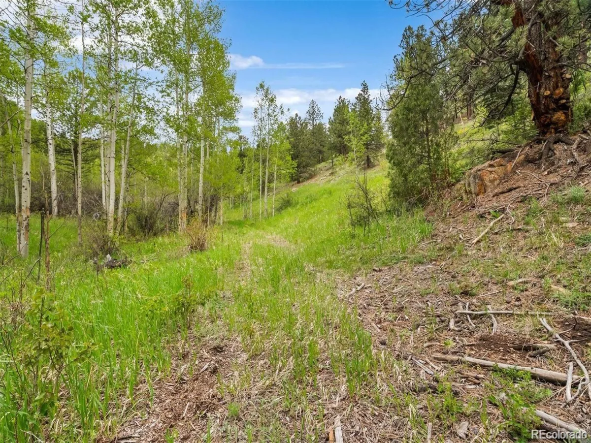 000 Spirit Horse Trail Golden CO 80403 | MLS #REC9319349 07222026172311 1200 4