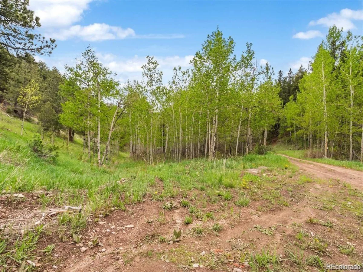 000 Spirit Horse Trail Golden CO 80403 | MLS #REC9319349 07222026172311 1200 5