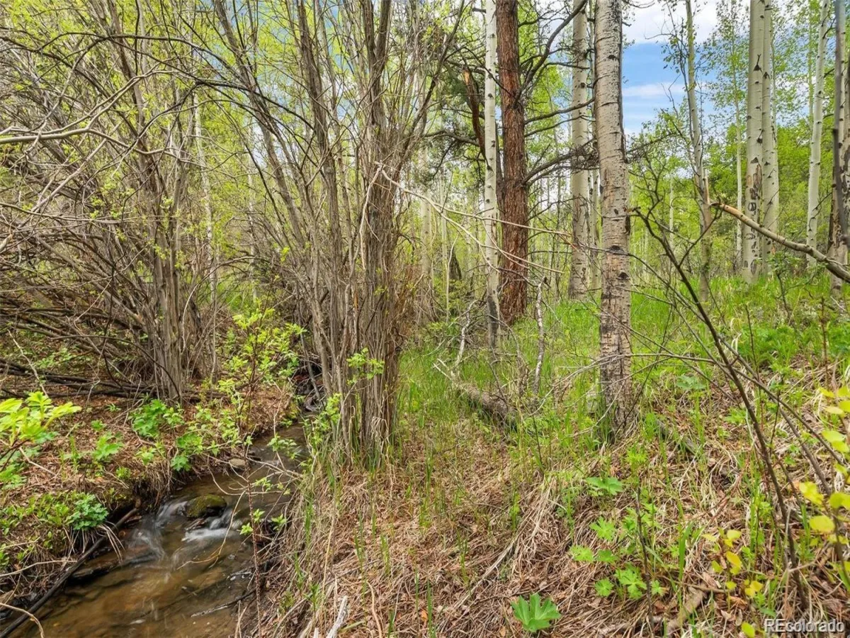 000 Spirit Horse Trail Golden CO 80403 | MLS #REC9319349 07222026172311 1200 8