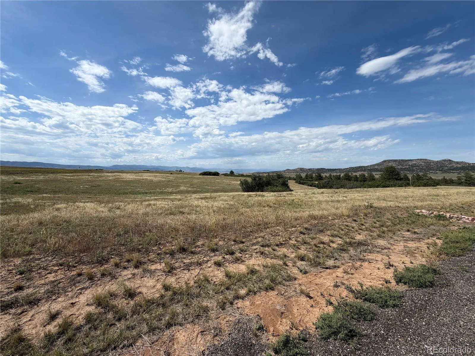 2288 Keep Drive Sedalia CO 80135 | MLS #REC9323900 08222026044348 1600 1