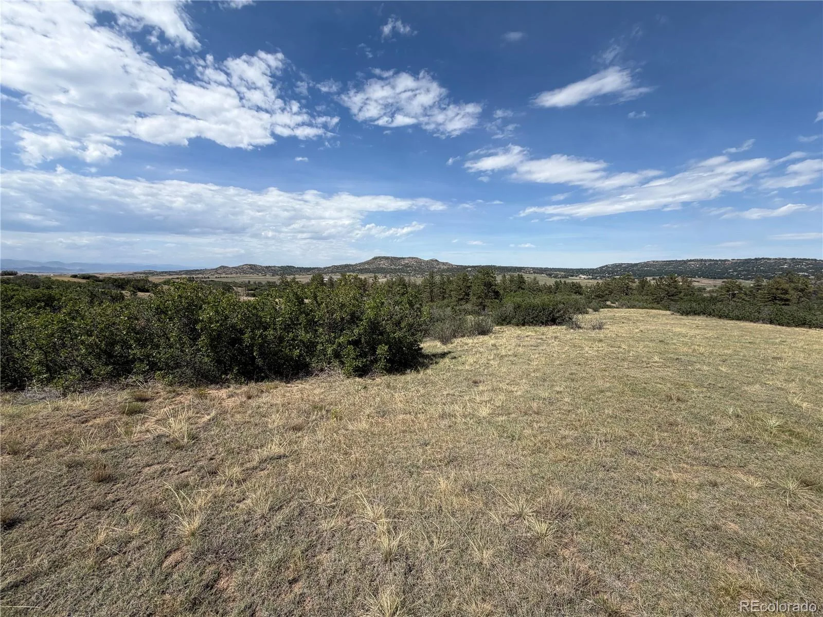 2288 Keep Drive Sedalia CO 80135 | MLS #REC9323900 08222026044348 1600 11