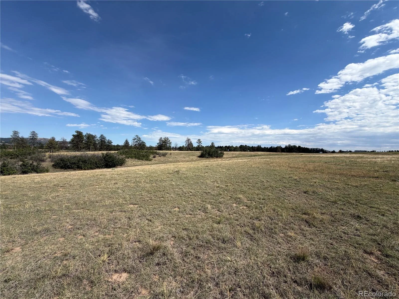 2288 Keep Drive Sedalia CO 80135 | MLS #REC9323900 08222026044348 1600 12