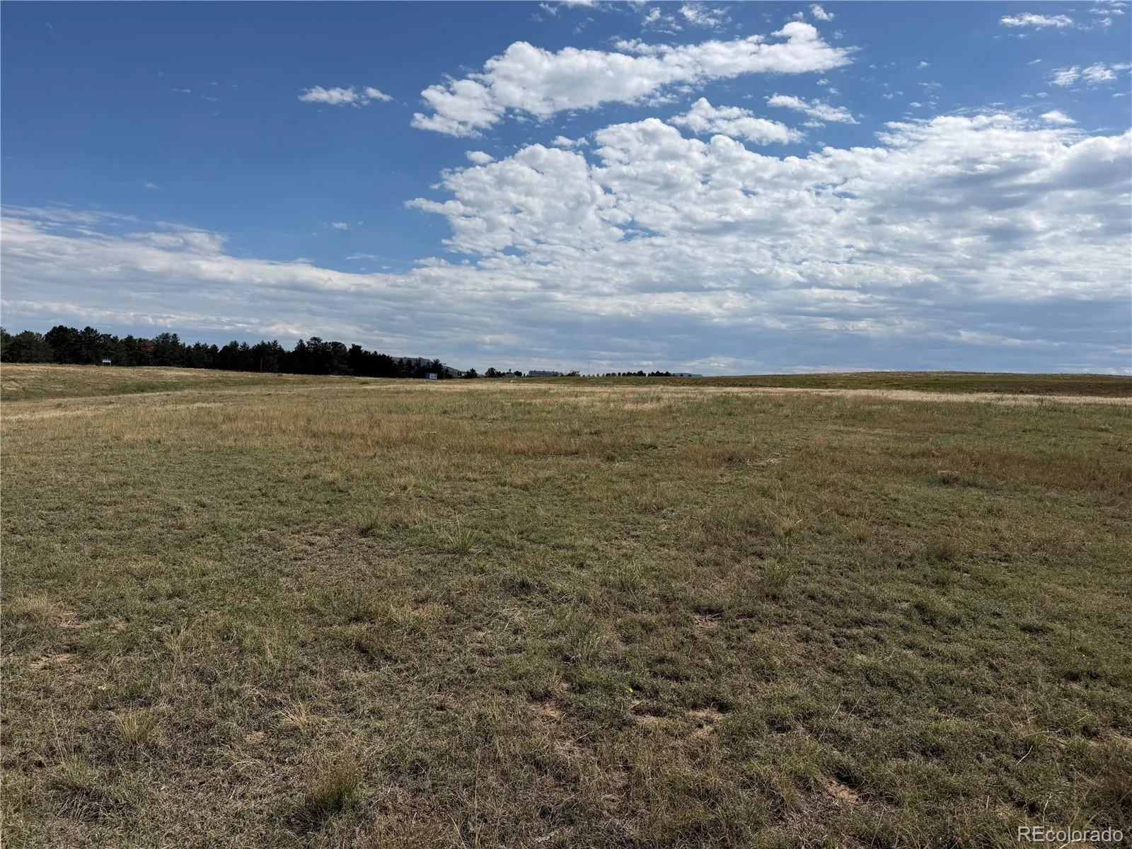 2288 Keep Drive Sedalia CO 80135 | MLS #REC9323900 08222026044348 1600 14
