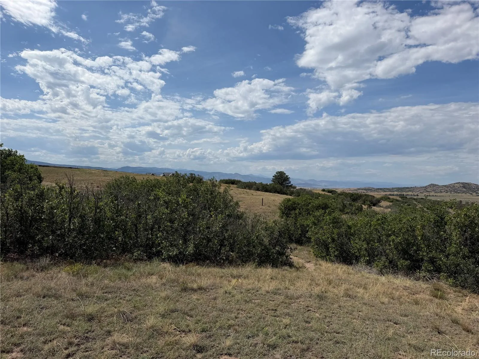2288 Keep Drive Sedalia CO 80135 | MLS #REC9323900 08222026044348 1600 15