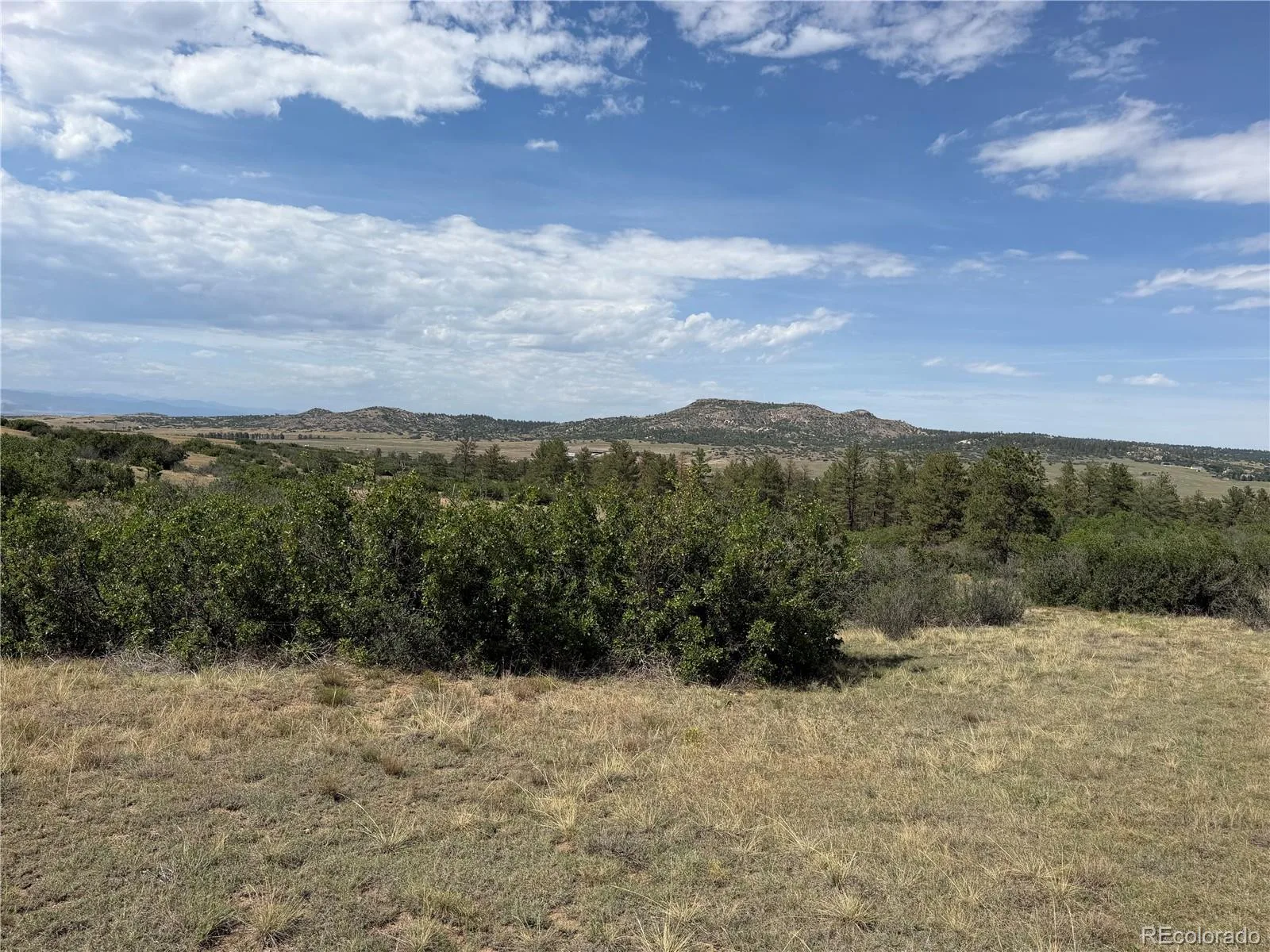 2288 Keep Drive Sedalia CO 80135 | MLS #REC9323900 08222026044348 1600 16