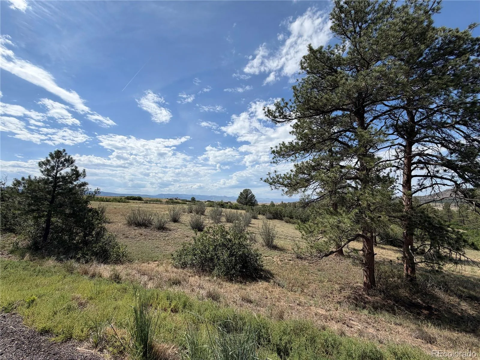 2288 Keep Drive Sedalia CO 80135 | MLS #REC9323900 08222026044348 1600 2