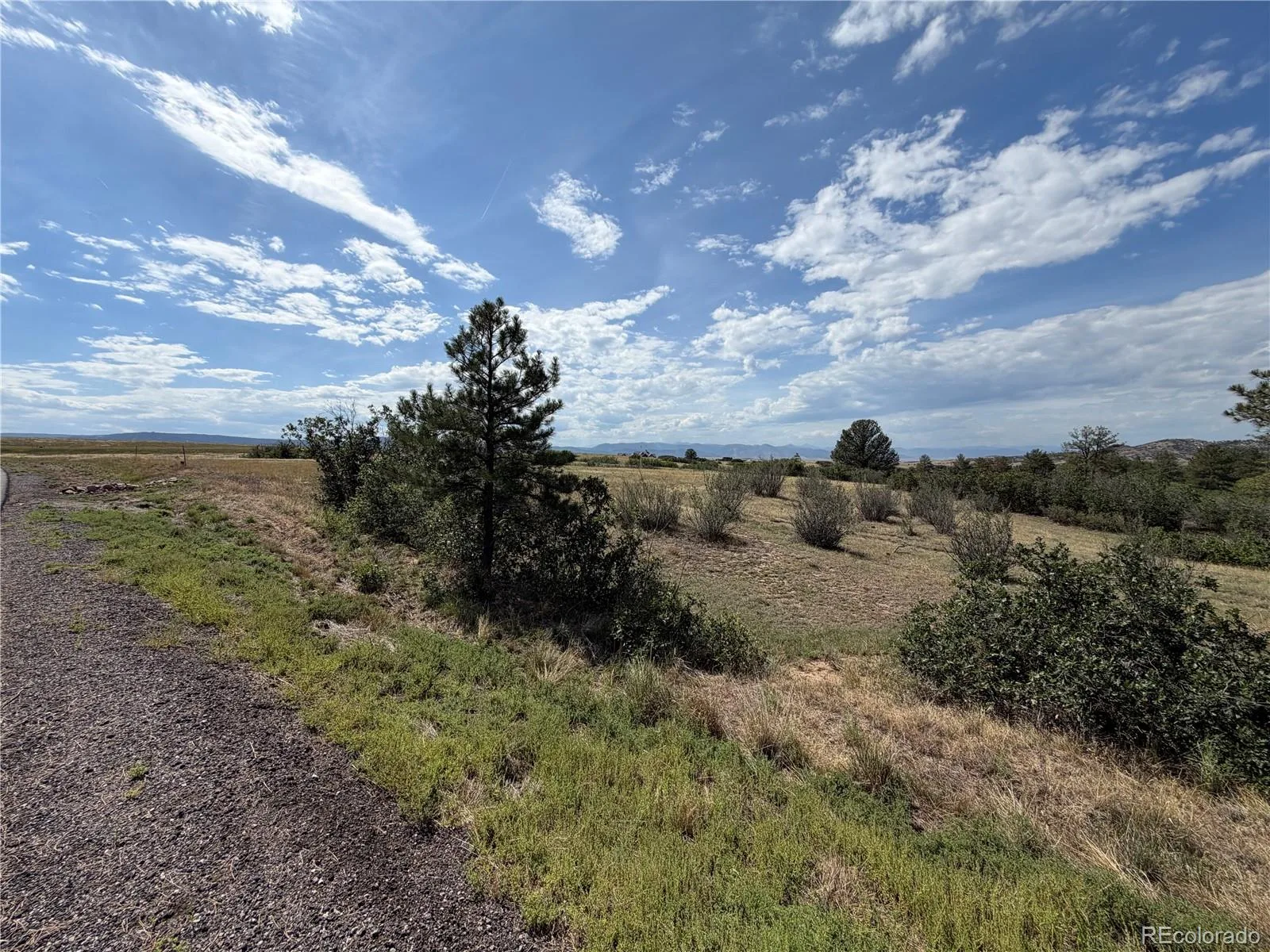 2288 Keep Drive Sedalia CO 80135 | MLS #REC9323900 08222026044348 1600 3
