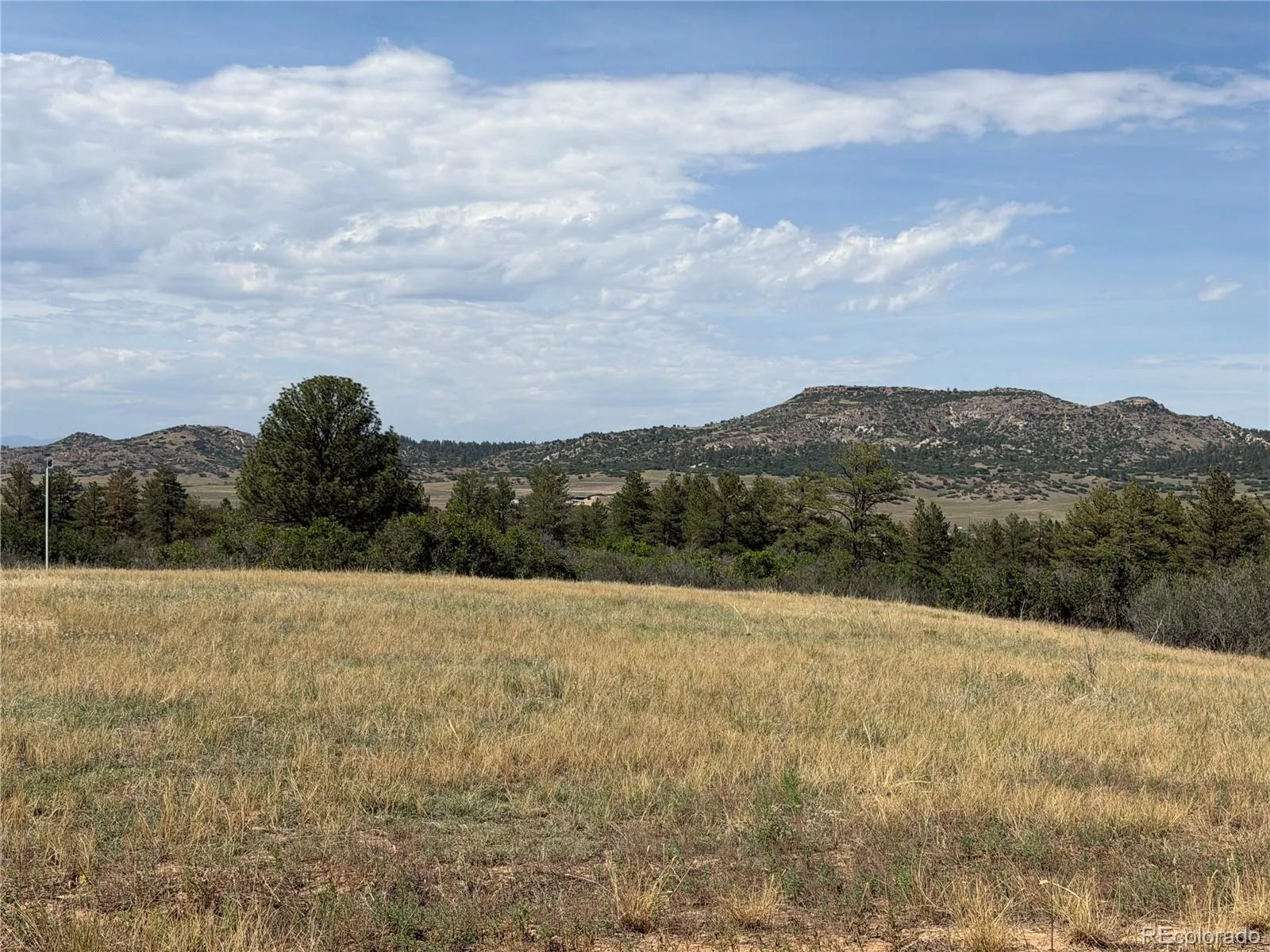 2288 Keep Drive Sedalia CO 80135 | MLS #REC9323900 08222026044348 1600 4