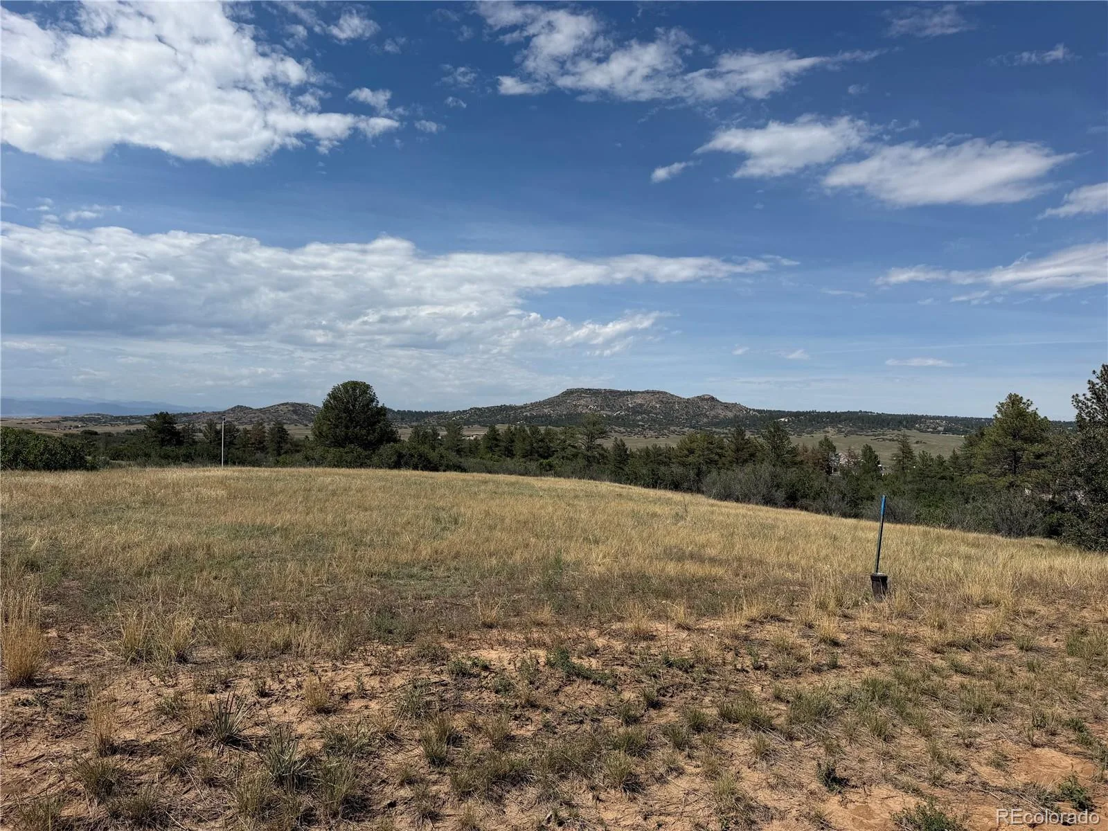2288 Keep Drive Sedalia CO 80135 | MLS #REC9323900 08222026044348 1600 5