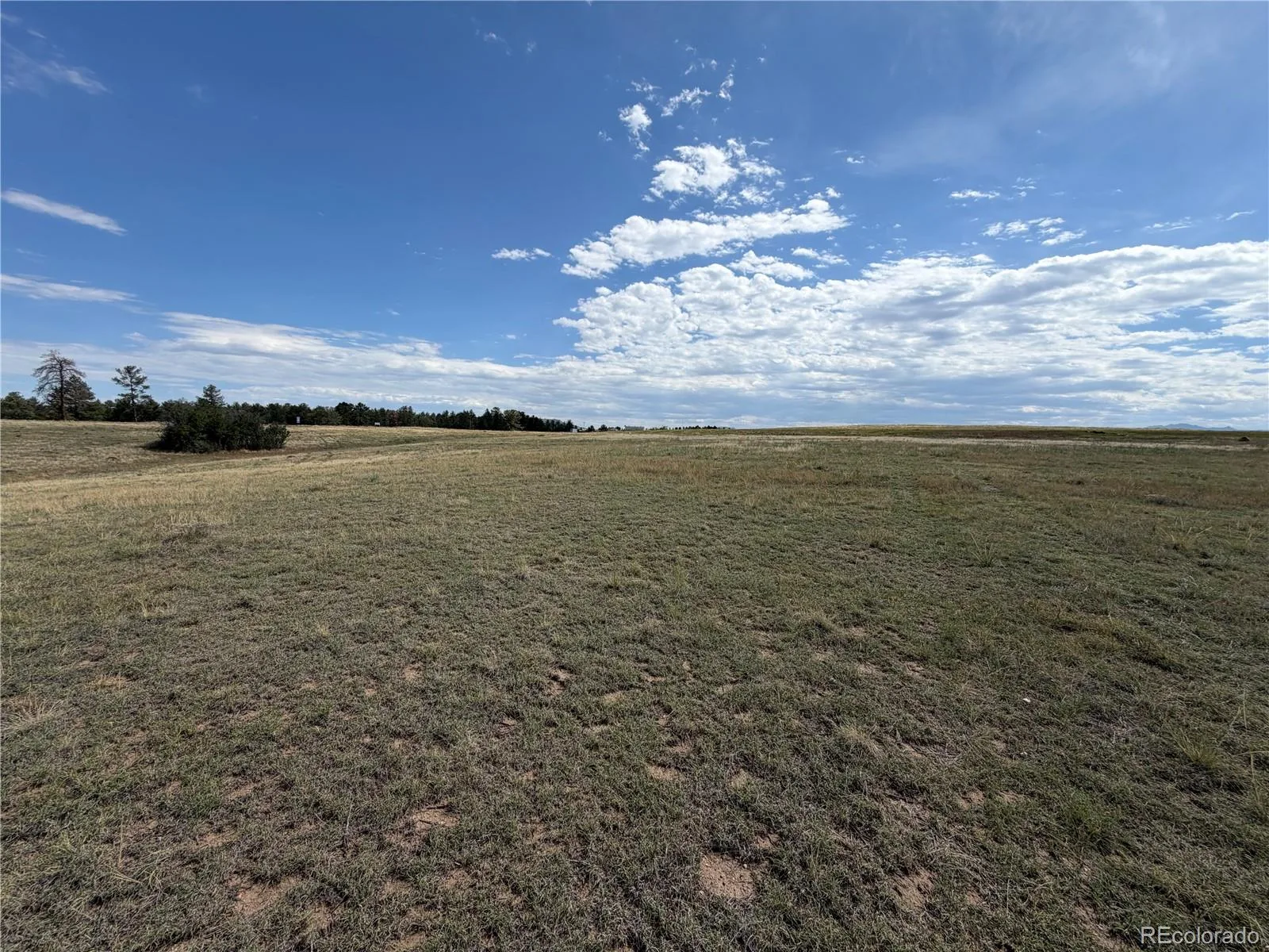 2288 Keep Drive Sedalia CO 80135 | MLS #REC9323900 08222026044348 1600 8