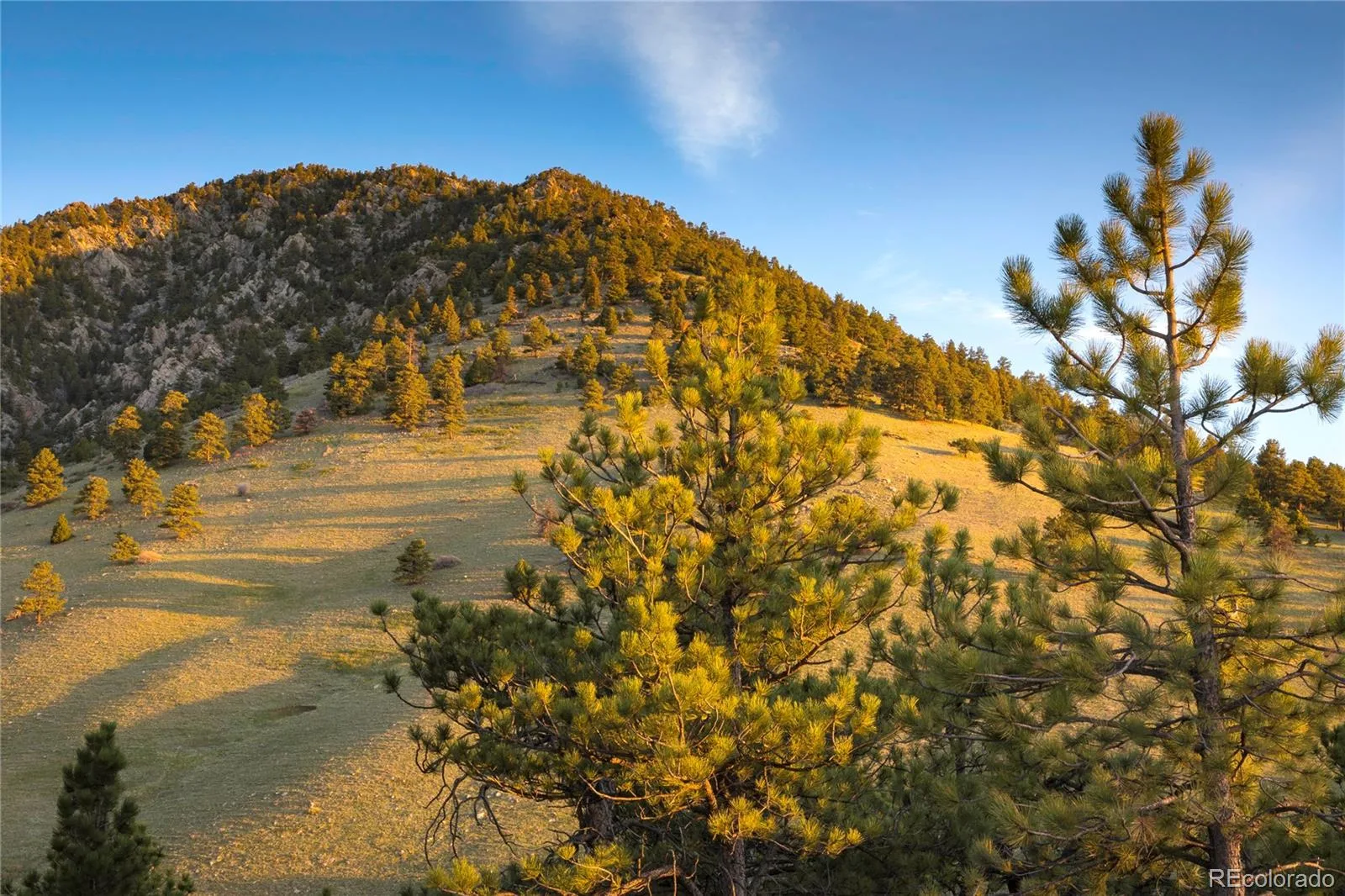 18 N Moffat Road Arvada CO 80403 | MLS #REC9327079 06282026030147 1600 8