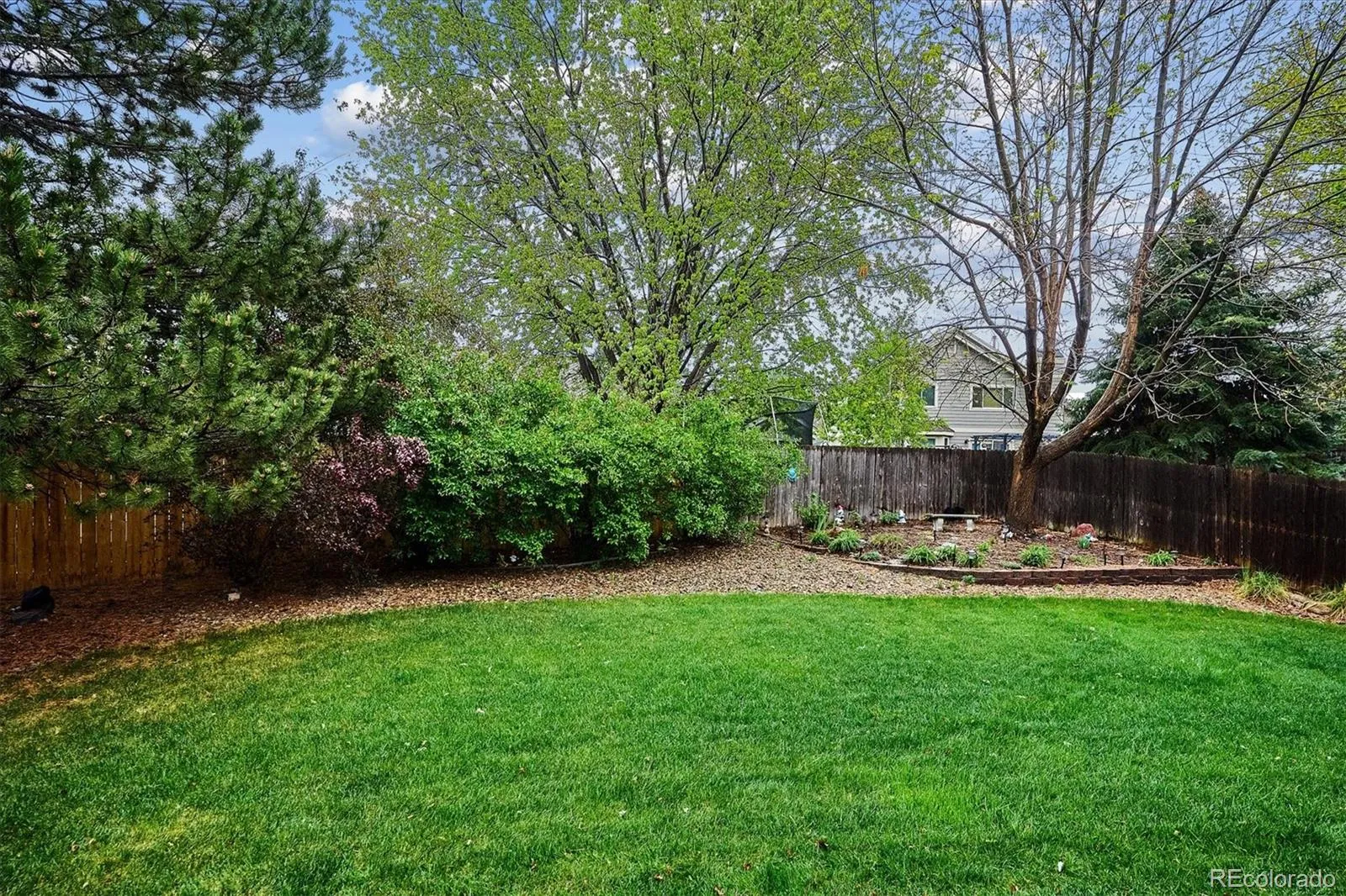 6240 S Vivian Street Littleton CO 80127 MLS #REC9328002 05092026023422 1600 43