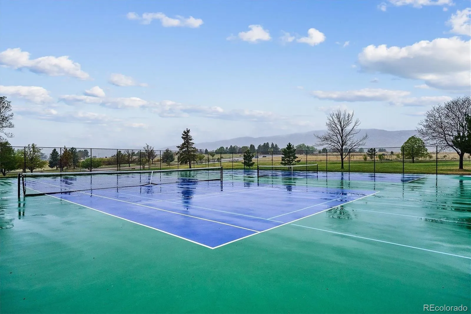 6240 S Vivian Street Littleton CO 80127 MLS #REC9328002 05092026023422 1600 47