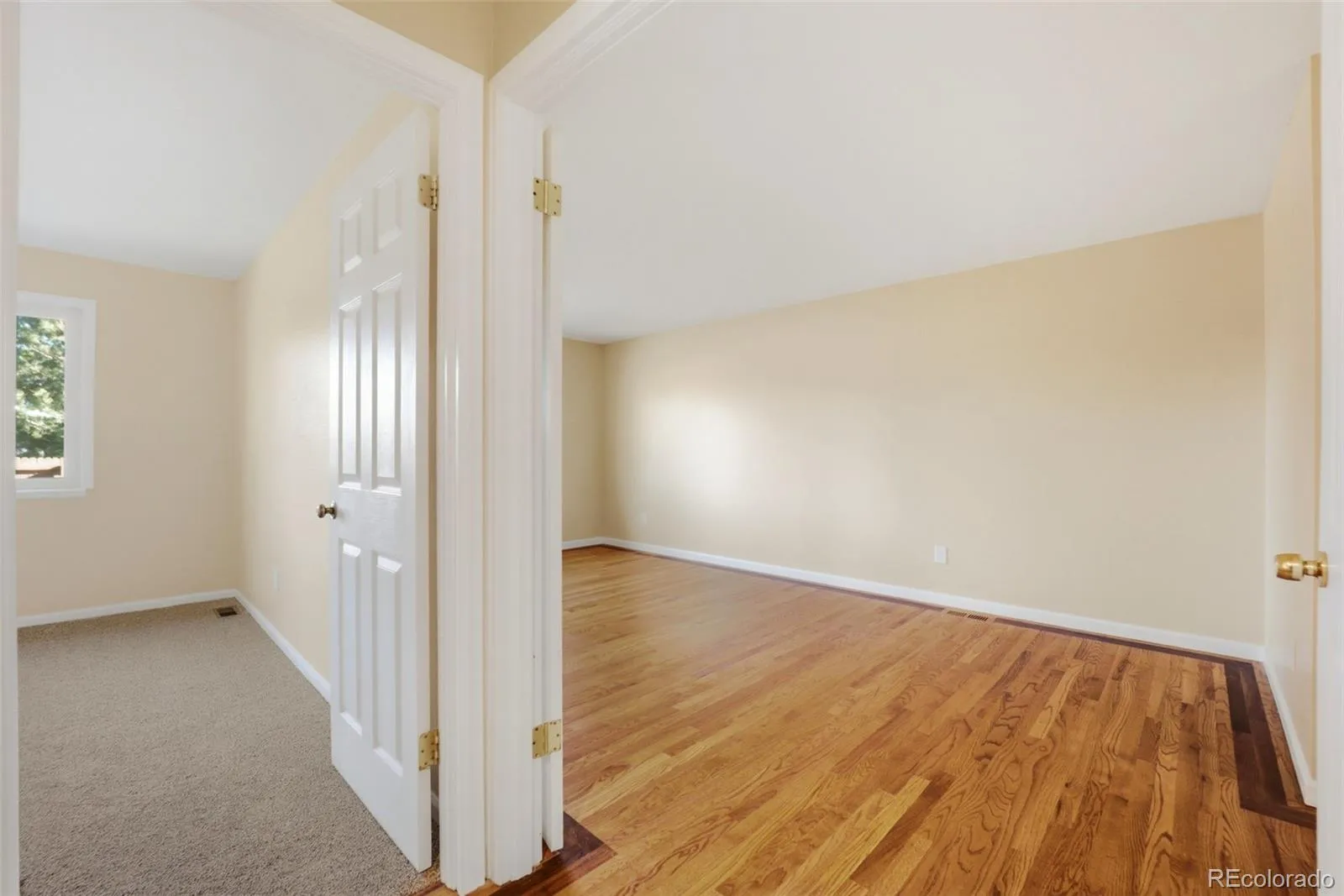 04032026221235 1600 15