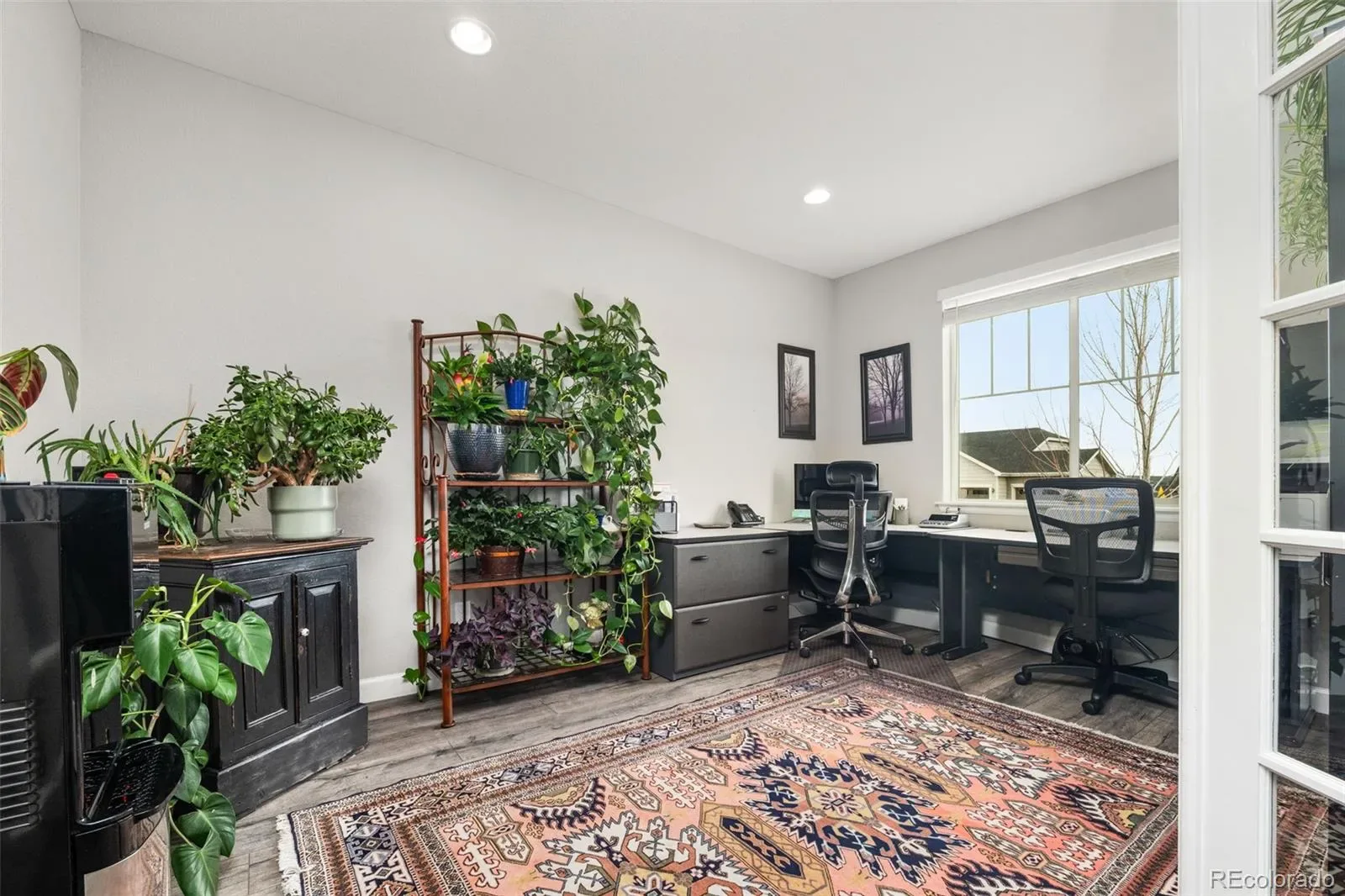 6749 Mentha Drive Castle Rock CO 80108 MLS #REC9334935 03182026225200 1600 4