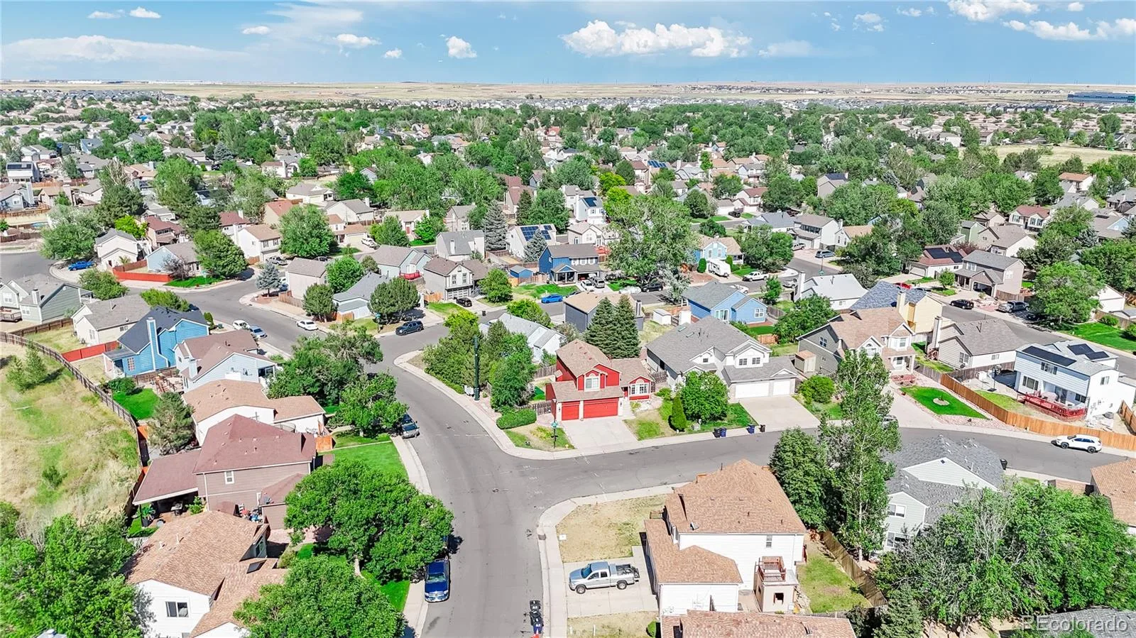 4394 N Jebel Street Denver CO 80249 MLS #REC9340125 06052026032528 1600 4