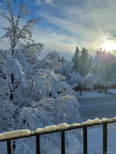 03252026152935 800 37