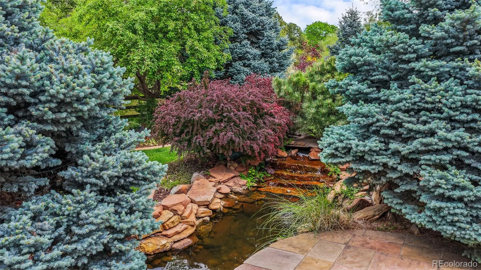 4443 W Cottonwood Place Littleton CO 80123 | MLS #REC9342139 06152026041712 1600 15