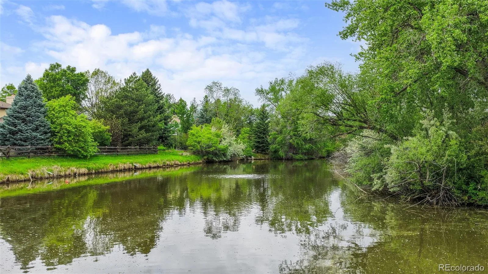 4443 W Cottonwood Place Littleton CO 80123 | MLS #REC9342139 06152026041712 1600 3