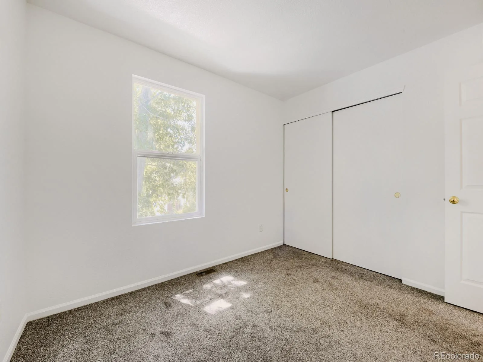 11817 W Tufts Place Morrison CO 80465 | MLS #REC9346327 07212026211925 1600 11