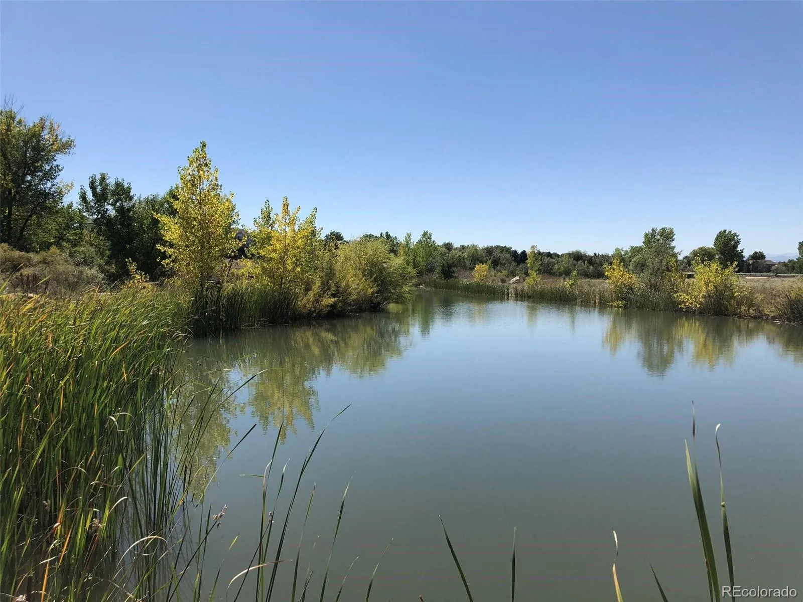 12138 Melody Drive #304 Denver CO 80234 | MLS #REC9350371 08282026202027 1600 18