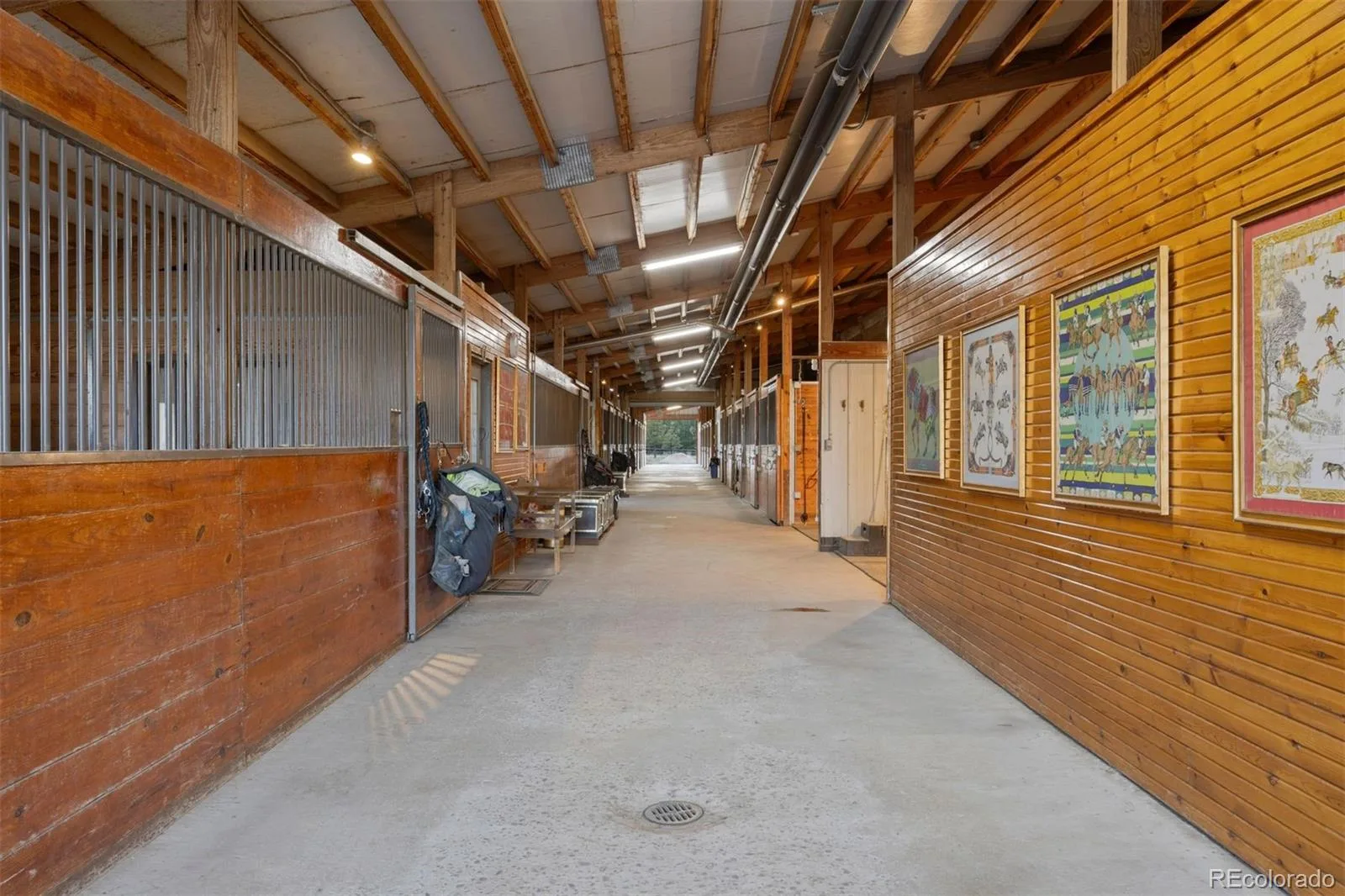 10559 Democrat Road Parker CO 80134 | MLS #REC9354617 06032026224633 1600 36
