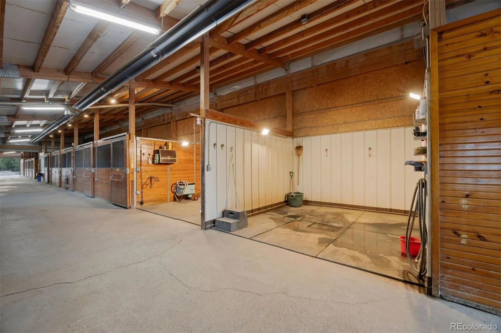 10559 Democrat Road Parker CO 80134 | MLS #REC9354617 06032026224633 1600 37