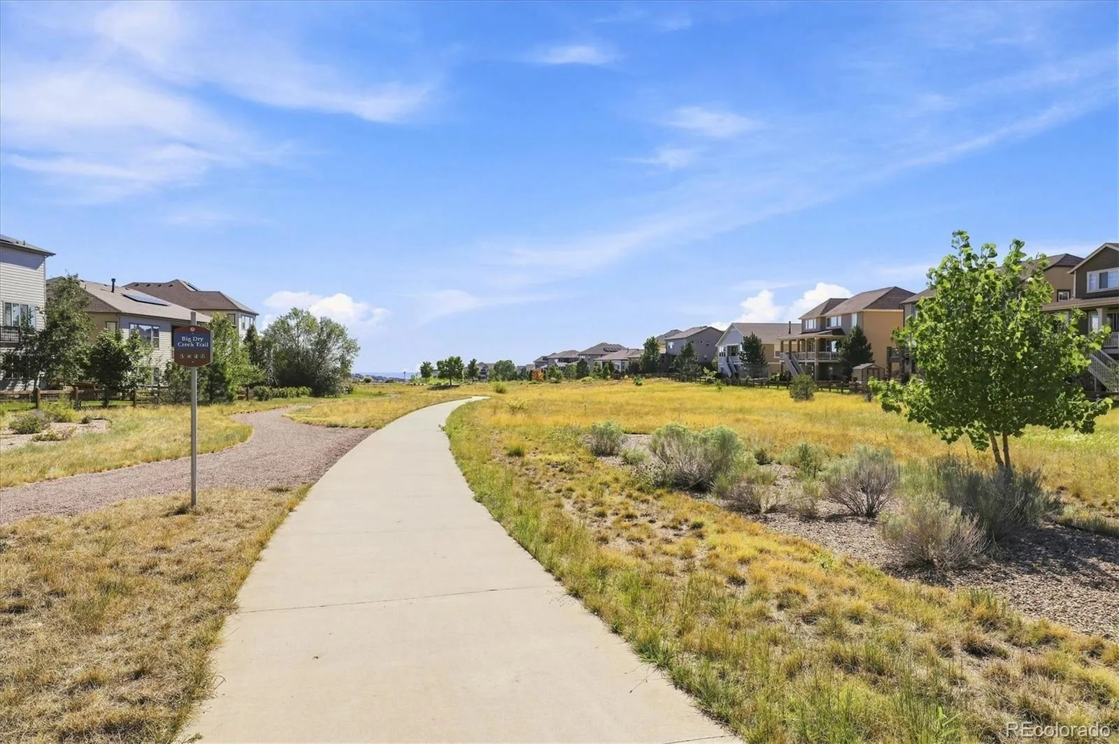 19836 W 93rd Avenue Arvada CO 80007 | MLS #REC9362167 08262026181654 1600 29